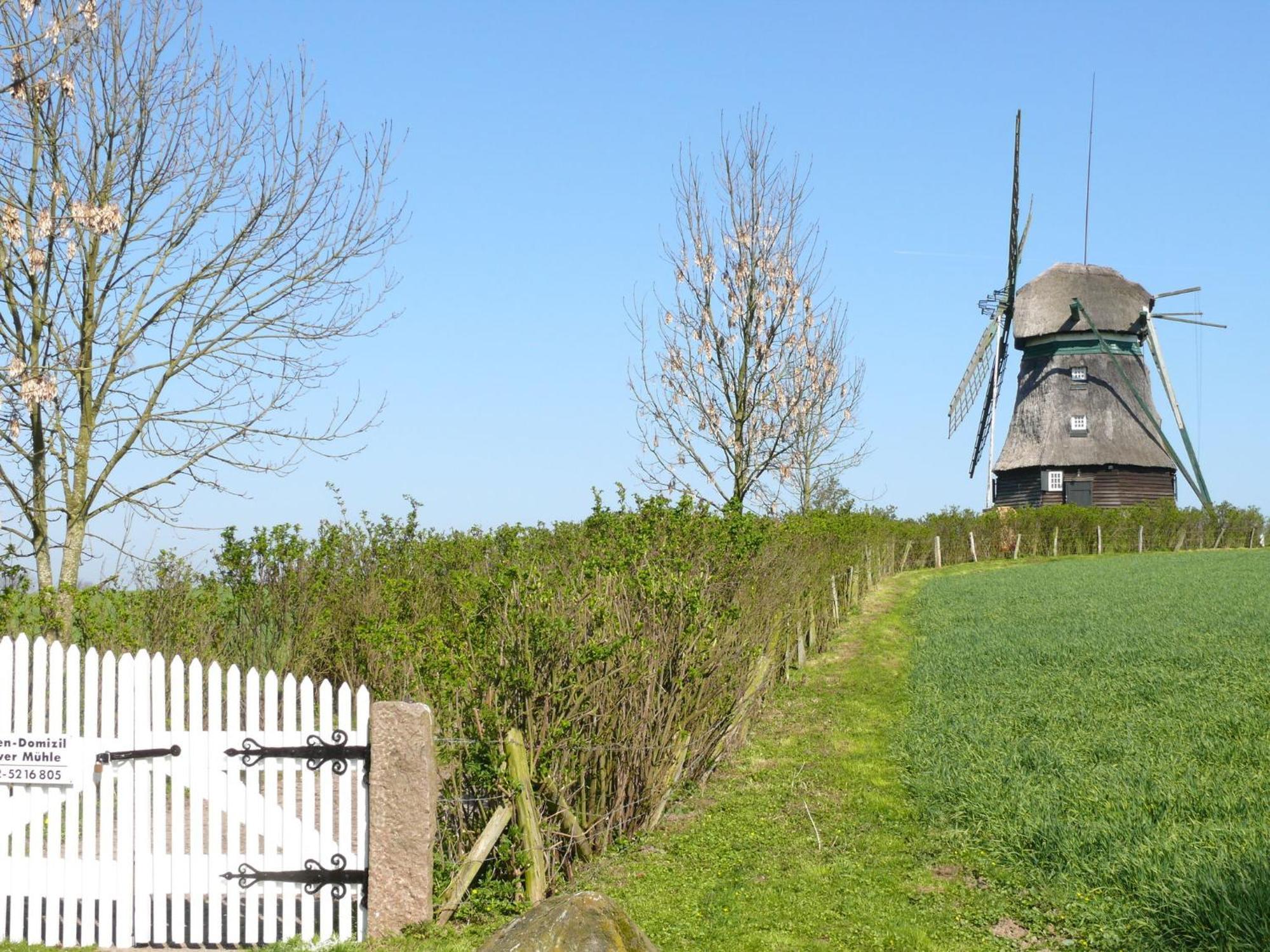 Beautiful Authentic Mill Close To The Beach Wangels Екстериор снимка